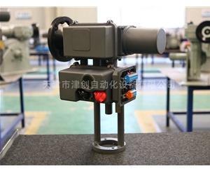直行程電動(dòng)執(zhí)行器廠家